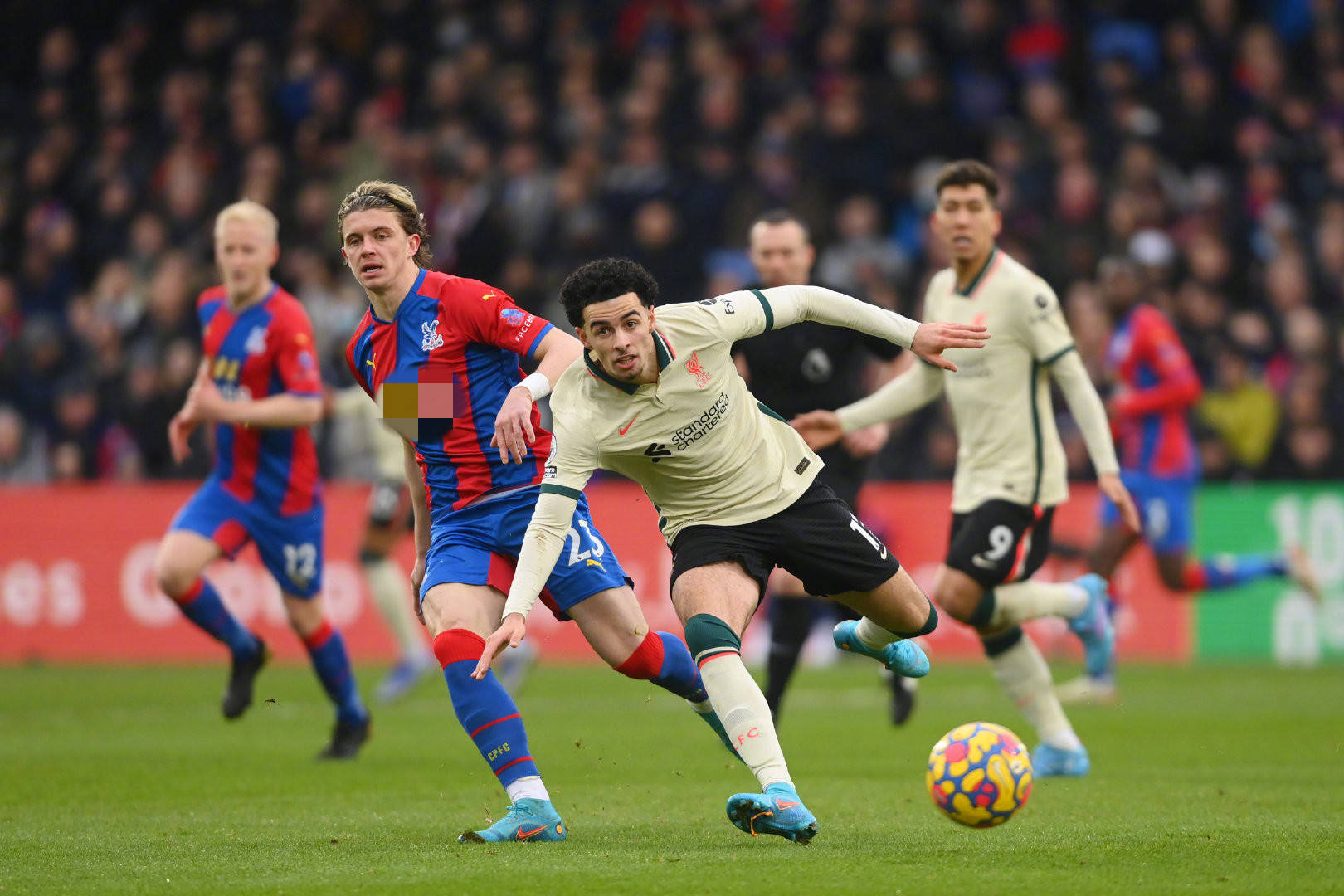 形成一场精 形成一场精